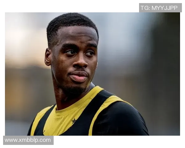 从寂寂无名到身价暴涨：揭秘本赛季英超头号黑马锋线的暴力美学